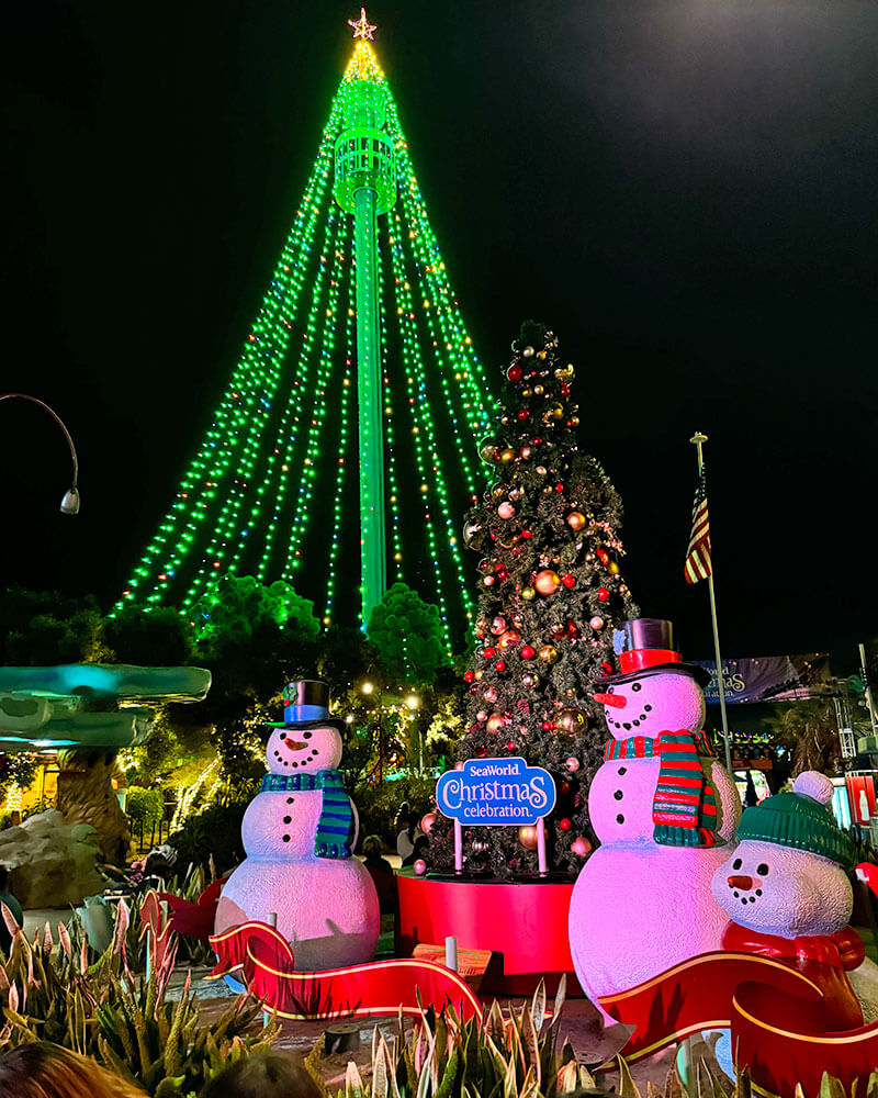 Places to Visit in San Diego For The Holidays