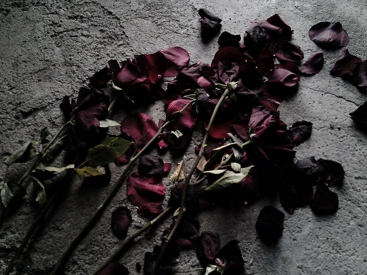 Absence of Passion